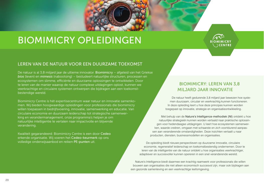 Bladzijde 20 van de opleidingsgids