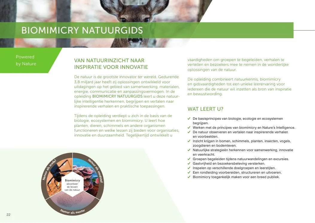 Page 22 of the programme guide