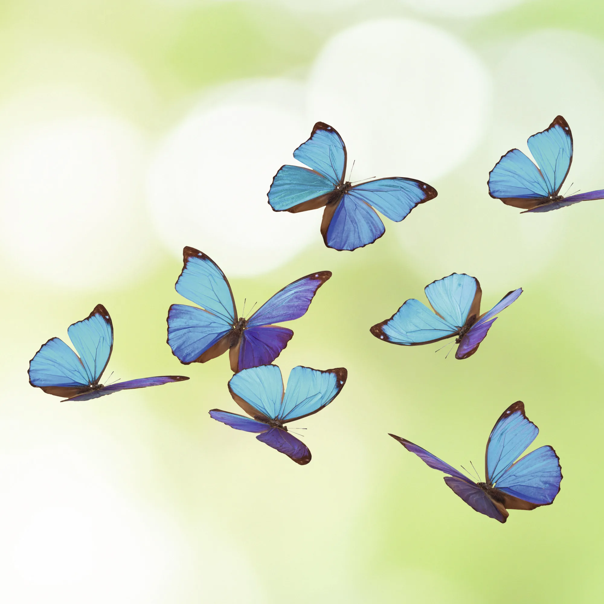 MC Change Management Powered by Nature